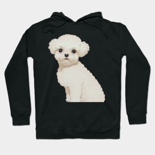 Maltipoo Puppy Fluffy Dog Maltese Poodle Bichon Frise Lover Hoodie